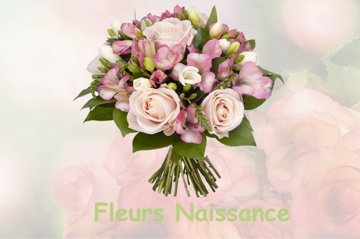 fleurs naissance SAINT-REMY-SUR-CREUSE