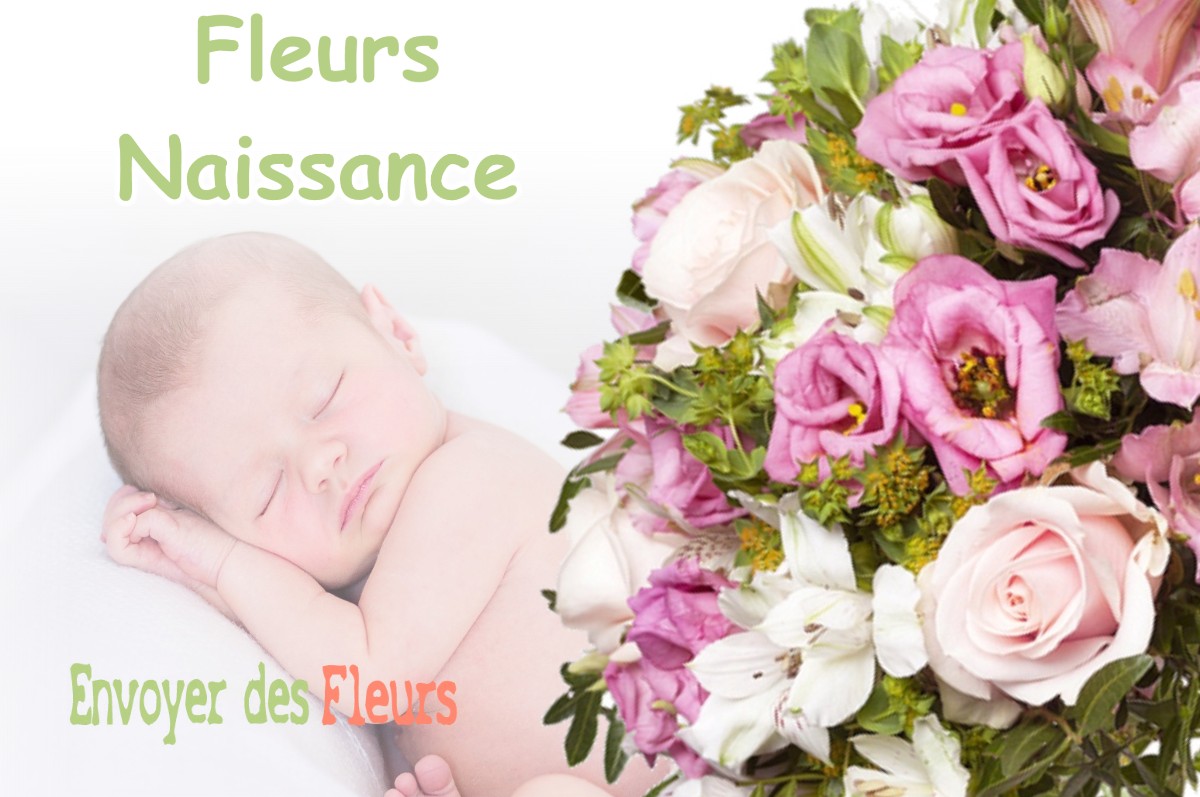 lIVRAISON FLEURS NAISSANCE à SAINT-REMY-SUR-CREUSE