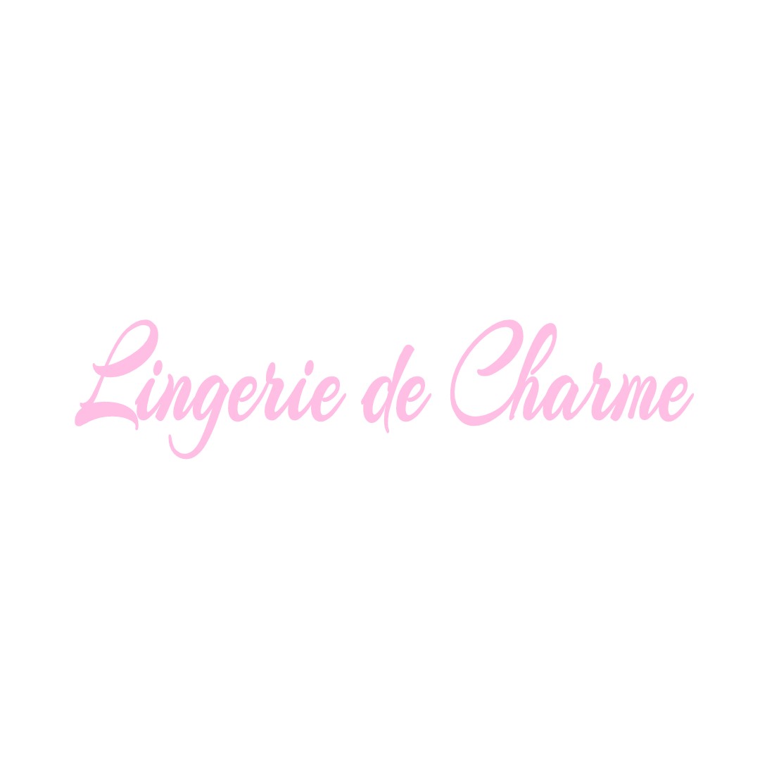 LINGERIE DE CHARME SAINT-REMY-SUR-CREUSE